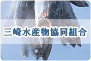 �O�萅�Y�������g��